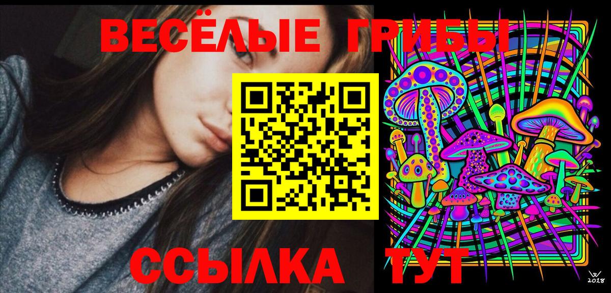 Галлюциногенные грибы GOLDEN TEACHER  Вход с VPN  Минеральные Воды 