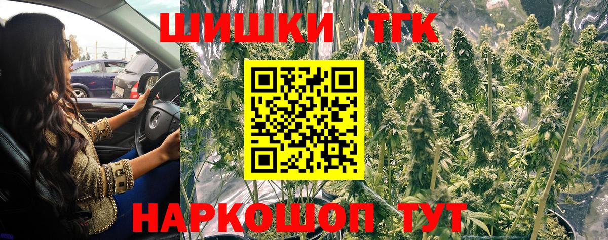 Конопля гибрид Минеральные Воды